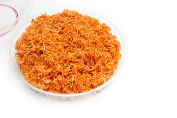 'Mee Grob' popular snack in Thailand - text or copy space