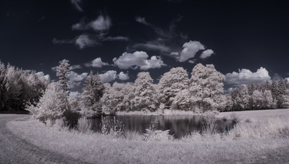 infrared photography - ir photo of landscape with tree under sky with clouds - the art of our world...