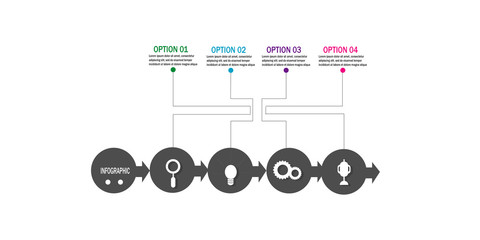 Modern timeline infographic chart data option template design vector