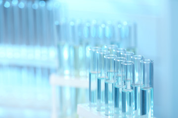 Rack with test tubes in laboratory, closeup. Chemical analysis