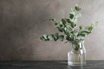 Bunch of eucalyptus branches with fresh leaves in vase on table © New Africa