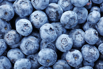 Tasty blueberry as background, close up view