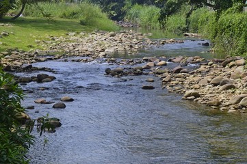 the scenic view of the river