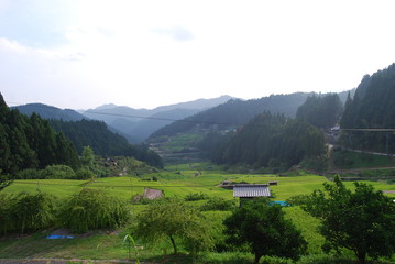 千枚田