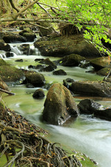 Ulfenbach