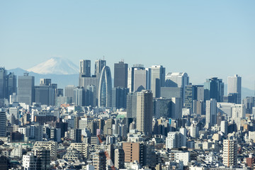 Naklejka premium Pejzaż Tokio widziany z drapaczy chmur