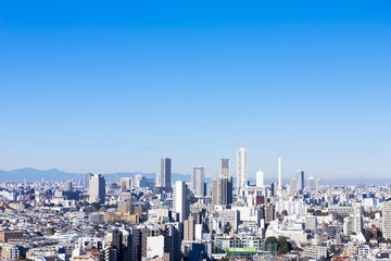 Fototapeta premium 高層ビルからの望む東京都市景観