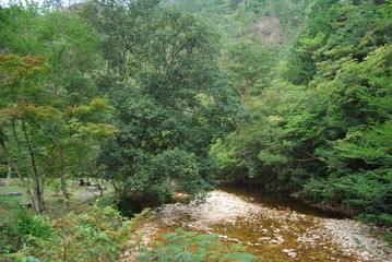 キャンプ場の朝