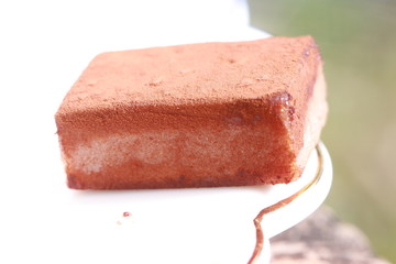 Close up brown chocolate on white dish