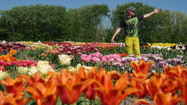Uomo nei campi di tulipani in Olanda