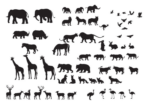 Silhouettes  of wild animals in many types