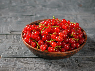 Freshly picked redcurrant berries in a bowl on a rustic wooden table.