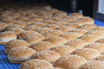 Baked buns with sesame on the production line