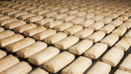 Baked pies group on the production line