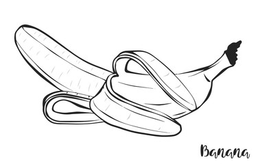 Peeled banana in the peel. Vector. Fruit. Black and white.
