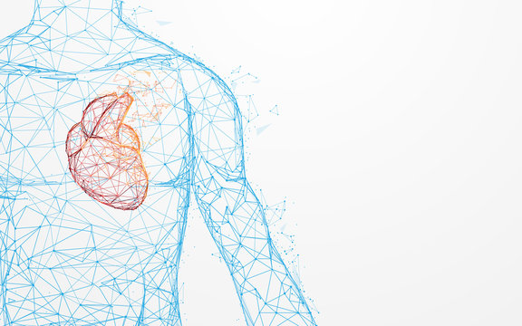 Human Heart Anatomy Form Lines And Triangles, Point Connecting Network On Blue Background. Illustration Vector