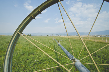 Looking through the wheel on the sprinkler on the farm in the field under the summer sun. 