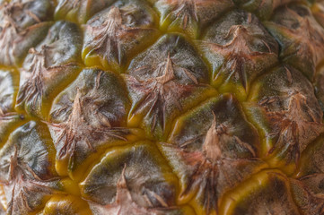 Fototapeta premium Shell of a pineapple showing clear details and texture, tropical fruit