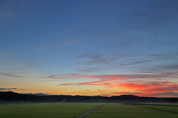 夏の水田の夕日