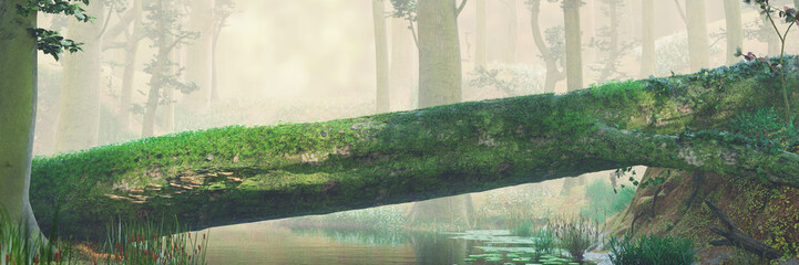 Fototapeta premium zwalone drzewo, naturalny most w magicznym lesie, piękny krajobraz lasu fantasy