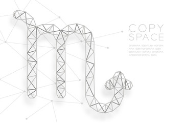 Scorpio Zodiac sign wireframe Polygon silver frame structure, Fortune teller concept design illustration isolated on white background with copy space, vector eps 10