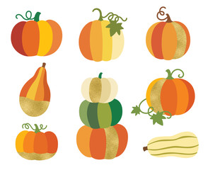 Fall or autumn pumpkin with gold accent vector illustration. Thanksgiving and Halloween decorative pumpkin graphic set.