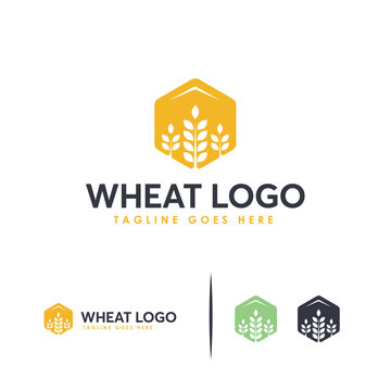 Grain wheat logo concept, Agriculture wheat Logo Template vector icon