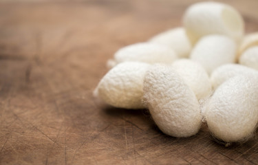 Group of white silk cocoons placed on the wooden floor,Vintage style.