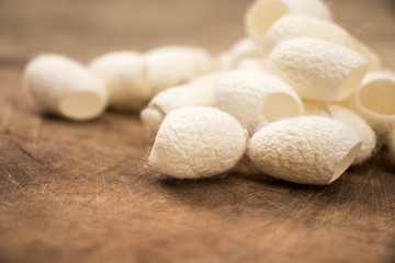 Group of white silk cocoons placed on the wooden floor,Vintage style.