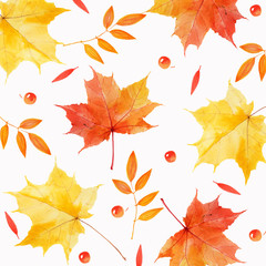 Watercolor autumnal leaves and berries abstract background