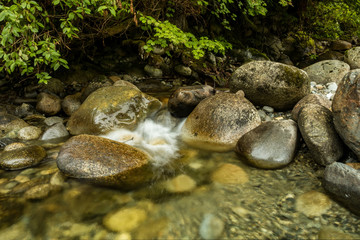 clear water from the stream rushing through the rocky creek in the forest