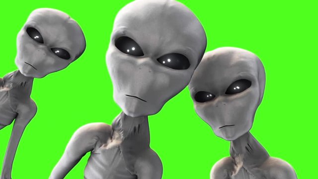 Alien Gray Abduction UFO Green Screen