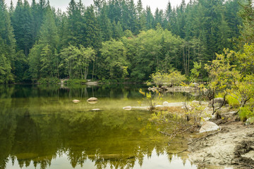 Fototapeta na wymiar calm lake surrounded by the trees with reflection of surroundings