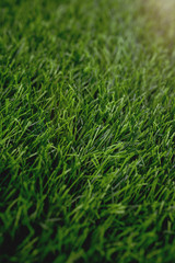 Plastic grass field