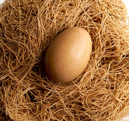 egg and nest closeup background easter festival