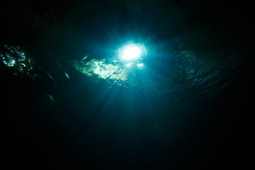 Underwater scene