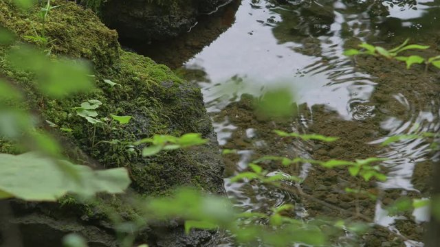静かな湖畔
