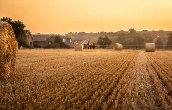 Sonnenaufgang über dem Kornfeld