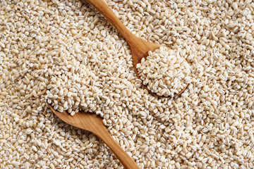 Barley grains