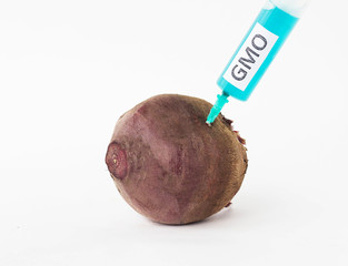 Beetroot on a white background in which is injected from the syringe gmo and nitrates, close-up,...