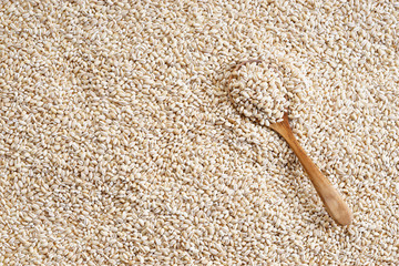 Barley grains