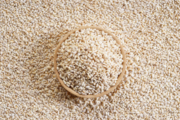 Barley grains