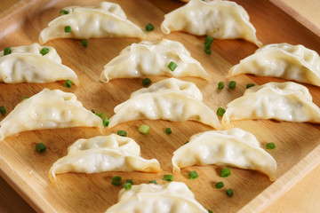 Japanese dumpling
