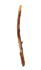 Obraz premium Broken tree branch isolated on white background