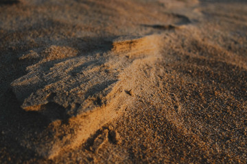 Sandy Mountain Formation