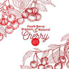 Cherry berry design template. Hand drawn vector fruit illustration. Engraved style vintage botanical background.