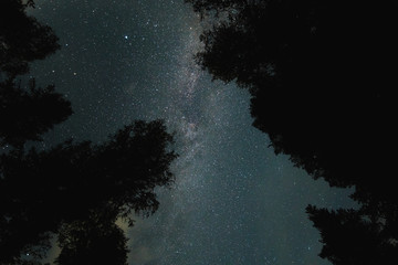 Starry sky and milky way