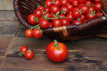 pomidory w koszyku © katherine_gee