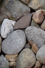 Graue und braune Kieselsteine auf einem Gartenweg