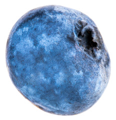 Blueberries isolated on white background. Clipping path